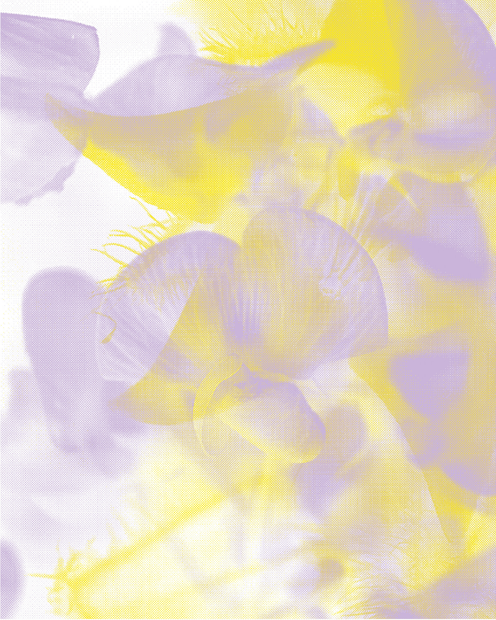 image-d-accueil