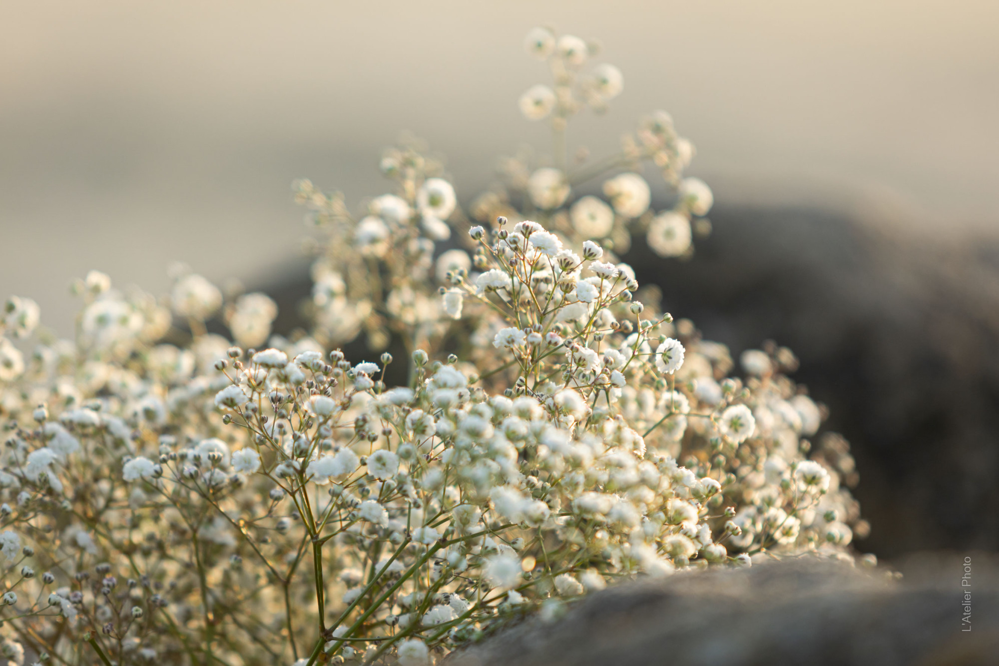 mariage-photo